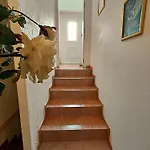 L'odyssée Iloa Bed & Breakfast